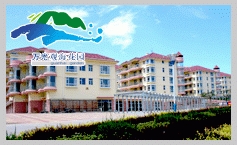 萬(wàn)光觀?；▓@——煙臺(tái)黃金海岸C位 坐擁無(wú)界海景視野